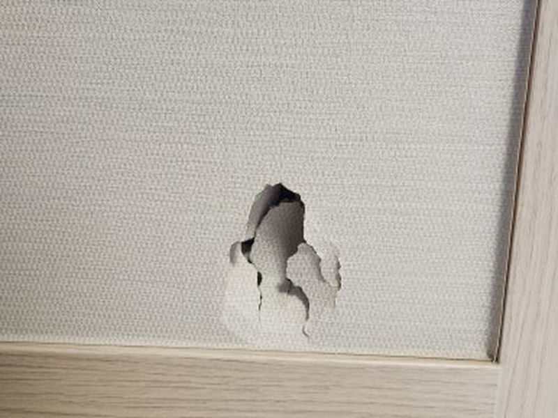 벽지가 뜯겨 구멍이 난 석고벽